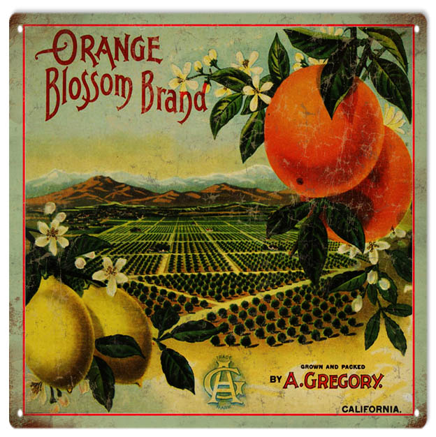 Orange Blossom Brand A. Gregory CA 12x12