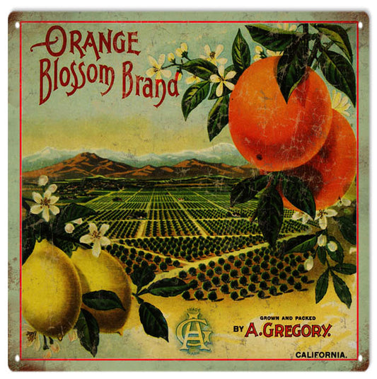 Orange Blossom Brand A. Gregory CA Vintage Style Metal Sign 12 x 12