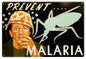 Malaria Prevent It Military Medical 12x18