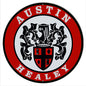 Austin Healey Car 14x14