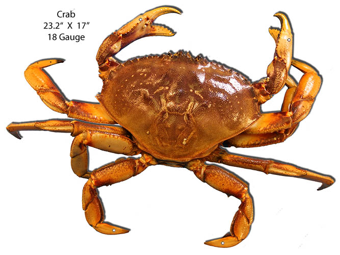 Crab Sea Animal 17×23.2