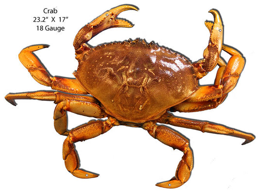 Crab Sea Animal Vintage Style Metal Sign 17 × 23