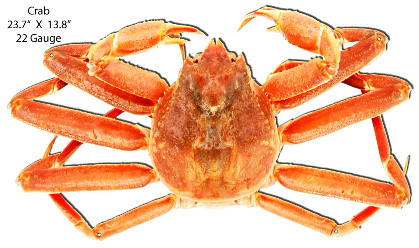 Crab Sea Animal 13.8×23.7