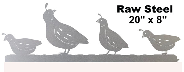 Quail Birds Raw Steel 8×20