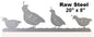 Quail Birds Raw Steel 8×20
