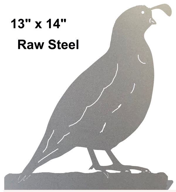 Quail Bird Raw Steel 13×14