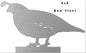 Quail Bird Raw Steel 6×9