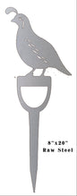 Quail Bird Raw Steel 14x21