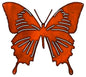 Butterfly 19.5×21.7