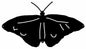 Butterfly Silhouette 13.5×23.1