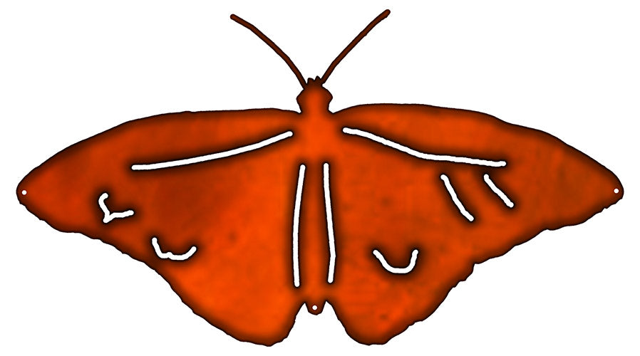 Butterfly 13.5×23.1