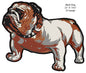Mack Truck Bull Dog Animal 19.5×22