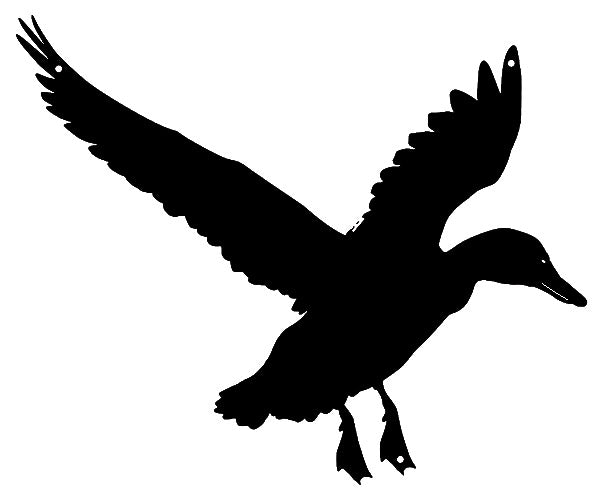 Duck Silhouette 13.5×16.5