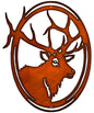 Buck Deer 18.5×23.5