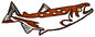 Salmon 8.5×23