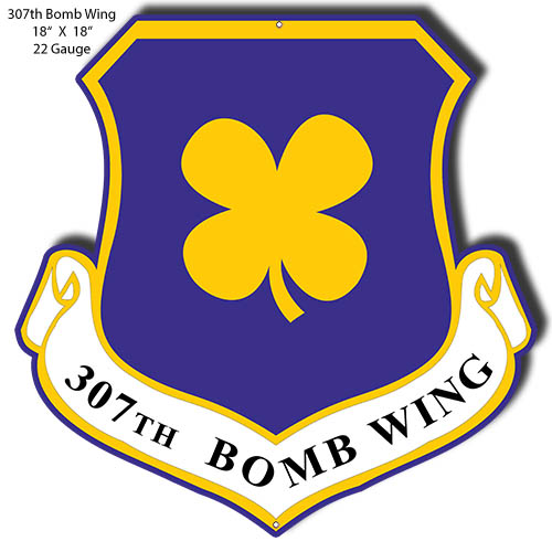 307th Bomb Wing Military 16.5×17