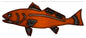 Fish 10×23