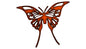 Butterfly 15.5×18