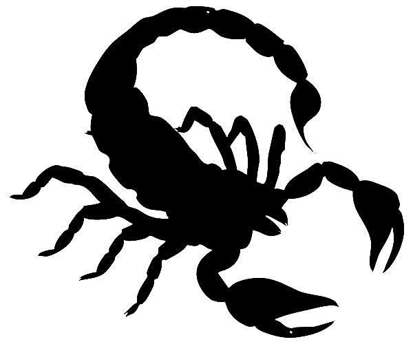 Scorpion Silhouette 19.5×23