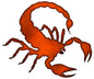Scorpion 19.5×23