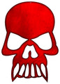 Skull 16.5×23.5