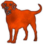 Labrador Retriever Dog 22×23