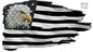 Eagle American Flag 20×35