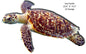 Sea Turtle Animal 15.5×23.4