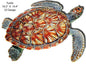 Water Turtle Animal 14.4×19.3
