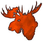 Moose 22.2×23.5