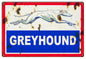 Greyhound Bus 12×18