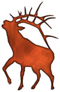 Deer 15.5×24