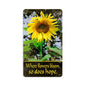SUNFLOWER 8 x 14