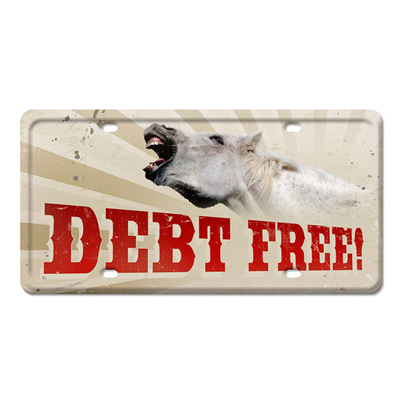 DEBT FREE 12 x 6