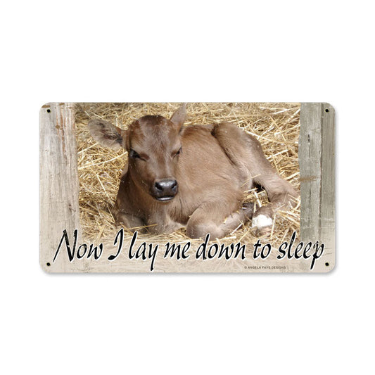 BABY CALF 14 x 8