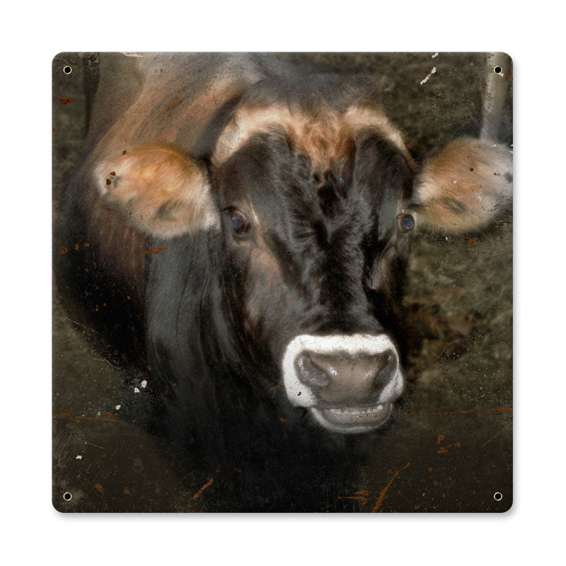 COW FACE 12 x 12