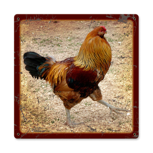 ROOSTER 12 x 12