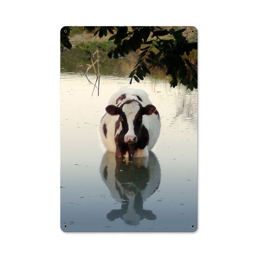 COW IN WATER 18 x 12