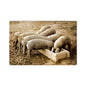 PIGS BEHIND 18 x 12