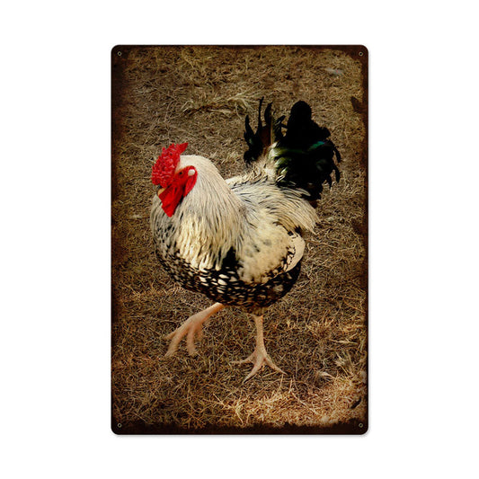 ROOSTER 16 x 24