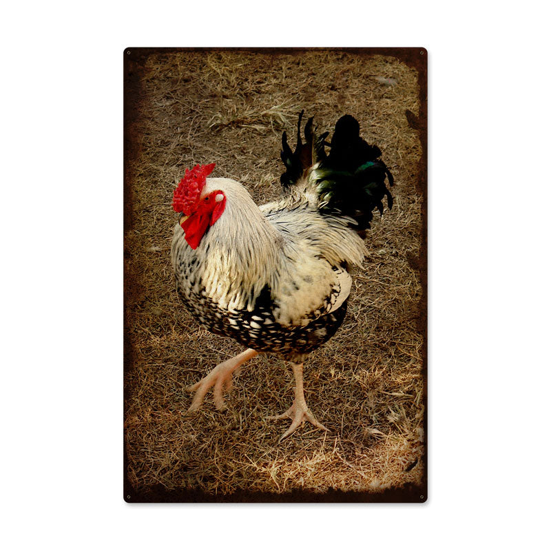 ROOSTER 24 x 36