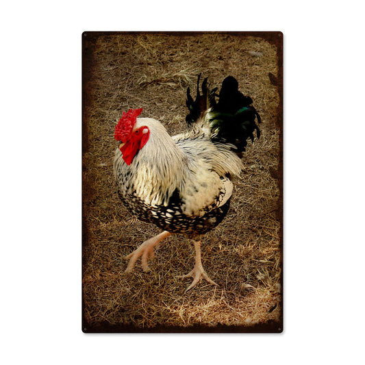ROOSTER 24 x 36