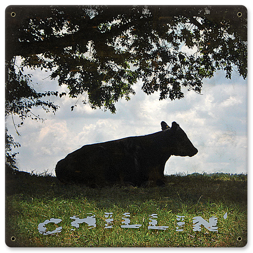 COW CHILLIN' 12 x 12