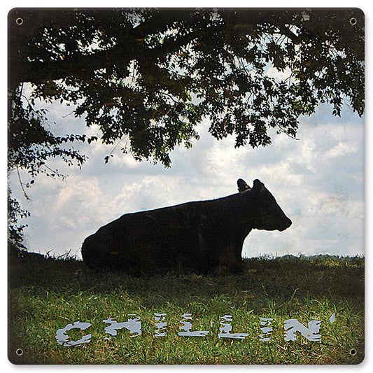 COW CHILLIN' 12 x 12