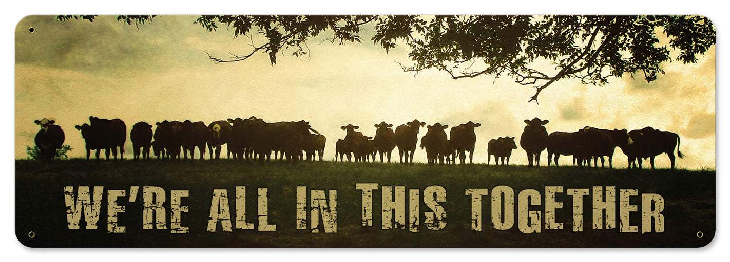 COWS ON HILL 24 x 8