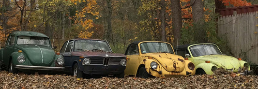 THREE BUGS AND A BEEMER 24 x 8