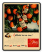 RICK BLATZ BEER 2 15 x 12