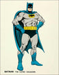 BATMAN 12 x 15
