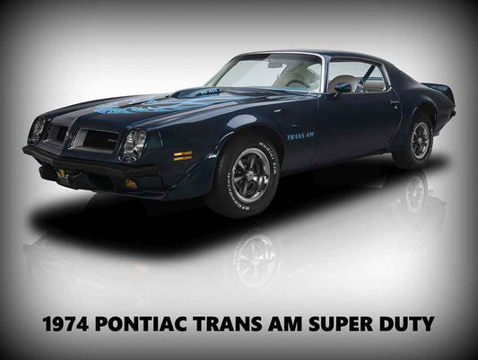 1974 POINTIAC FIREBIRD 16 x 12