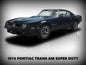 1974 POINTIAC FIREBIRD 16 x 12